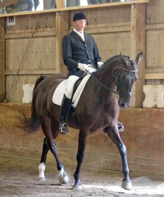 EM Day Dream undersaddle.