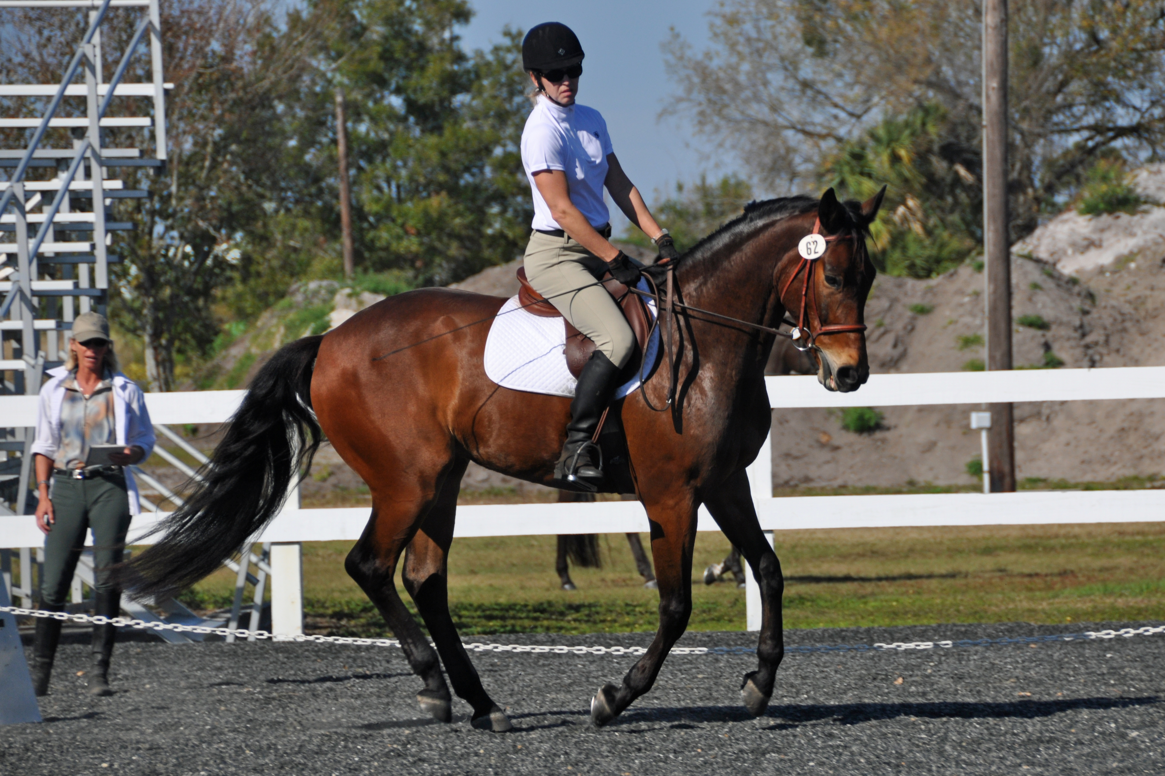 Woomera at his first dressage show (scoring 71.07 at T2)