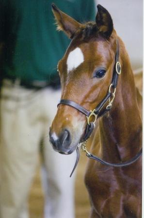 Danny at his inspection