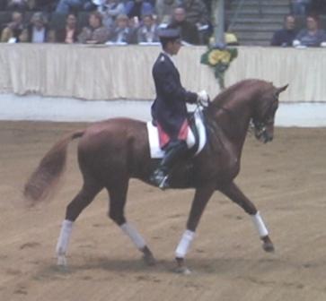 Londonderry performs at Hannoveraner Licensing in Verden.