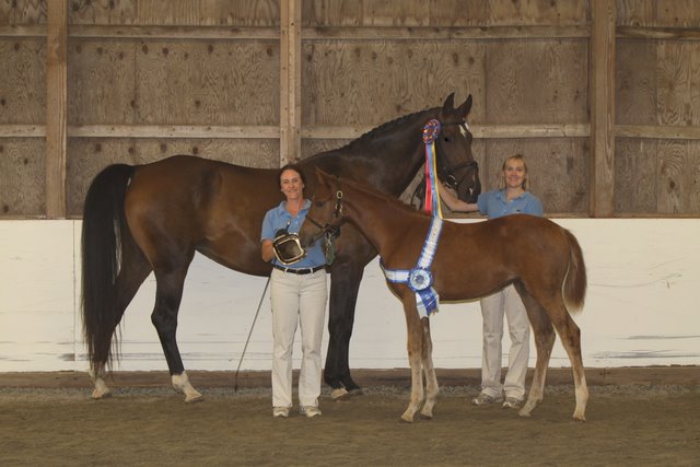 Lorelei HM with Heidi winning Champion Foal