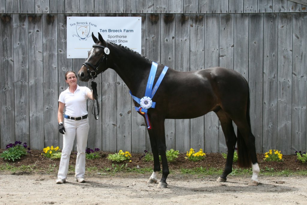 Sabatini HM in-hand with Heidi showing off Champion ribbons