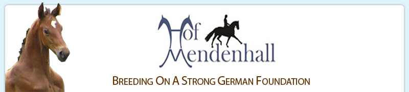 Hof Mendenhall logo