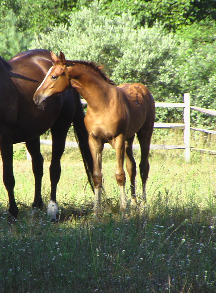 When we say Loreto has a gorgeous neck...we aren't kidding!