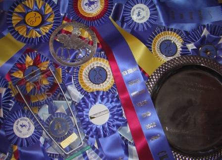 Awards and Ribbons from 2006