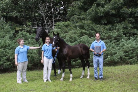 Regalia HM with his Reserve Champion Colt Ribbons