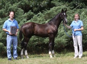 Regalia HM Top Colt at AHS Inspection