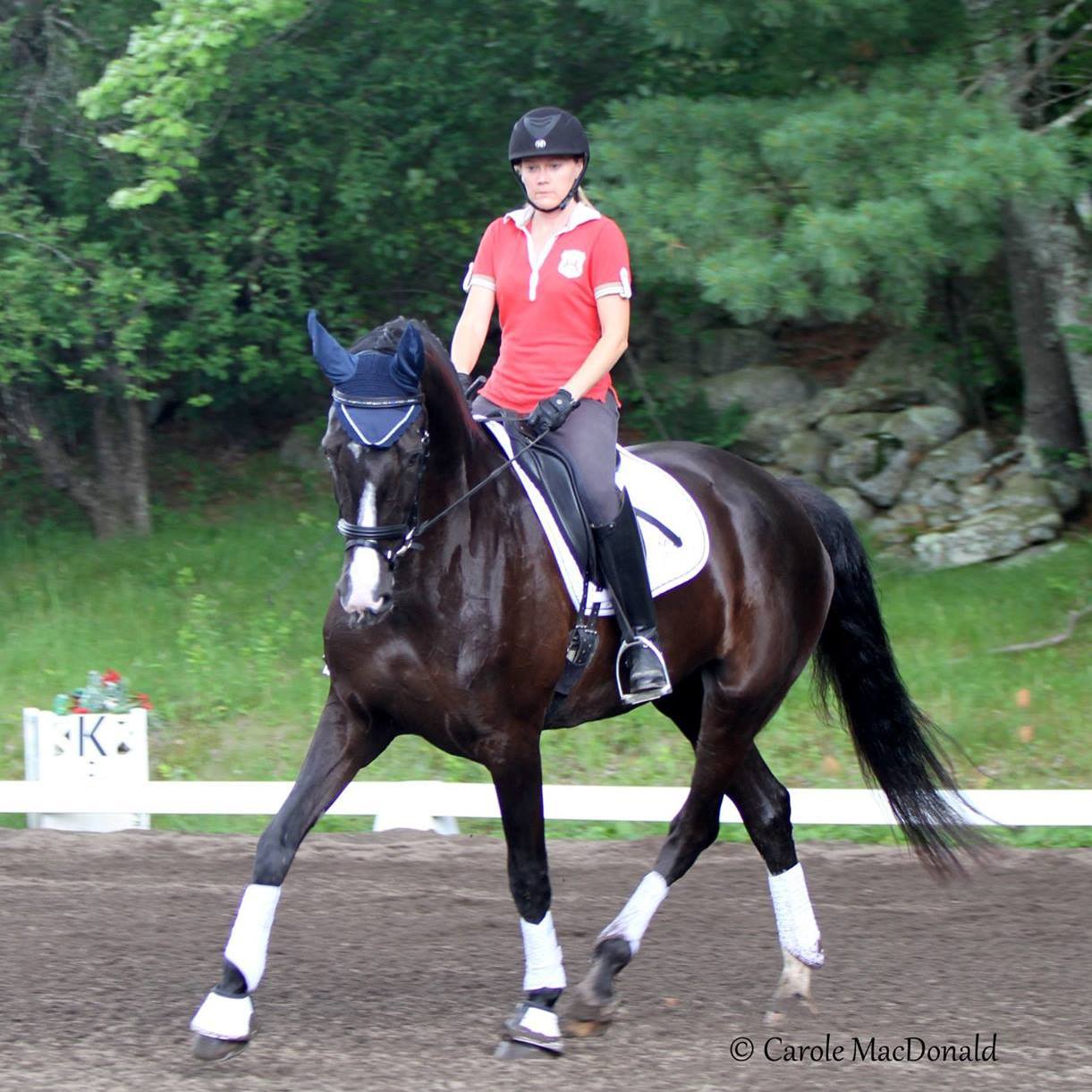 Reminisce HM - USDF Horse of the Year