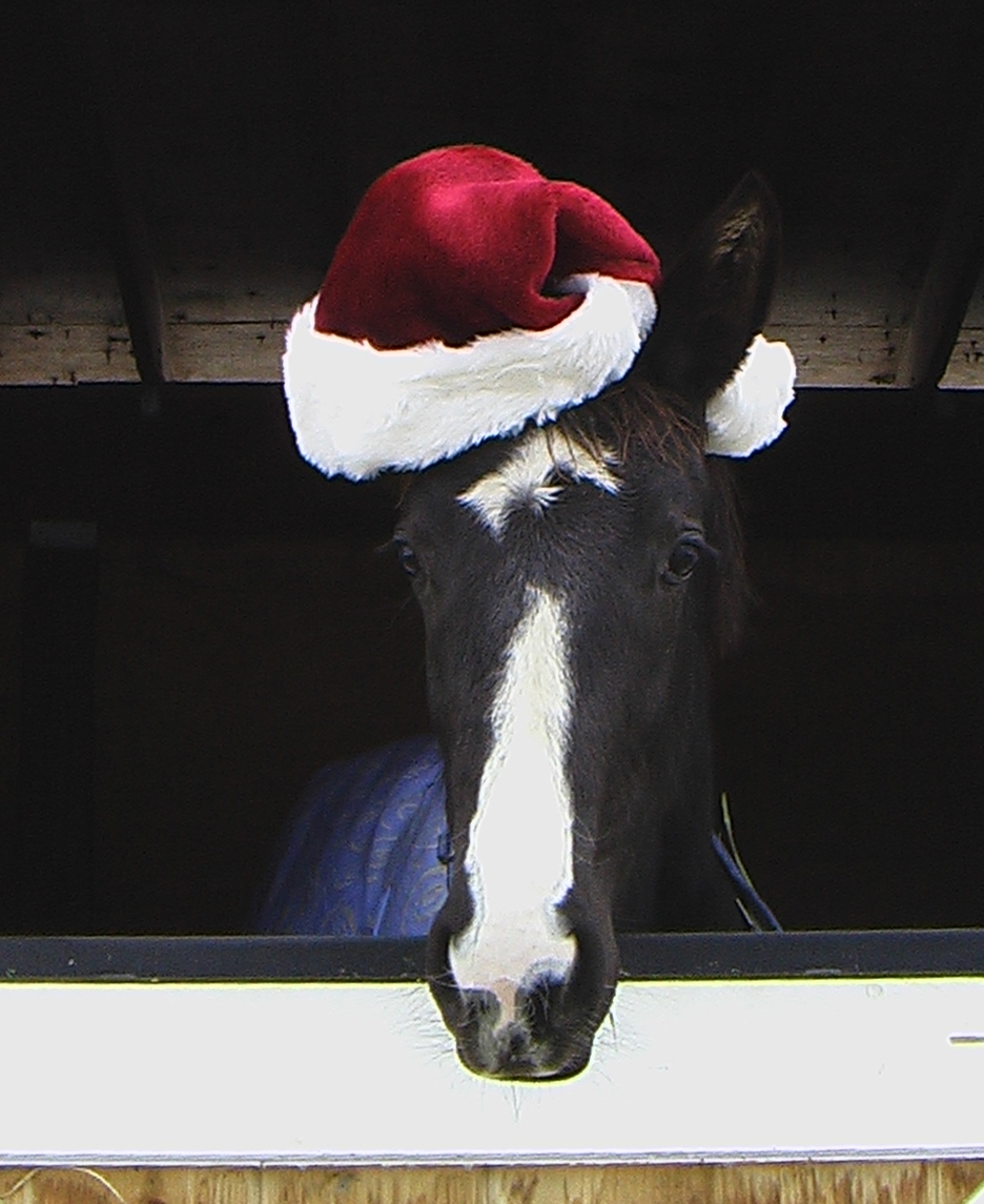 Reminisce loves wearing hats.