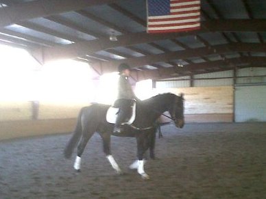 Sabatini HM with his owner Kerri going for their first ride.