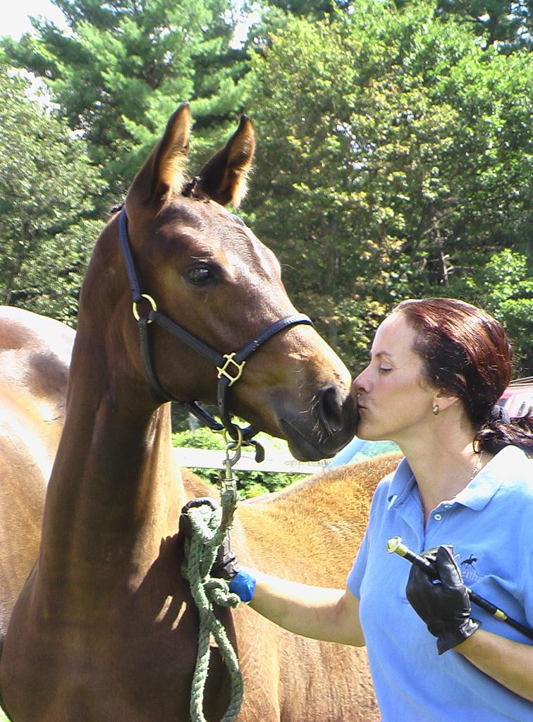 Seraphina HM - Champion Foal and Champion Hanoverian