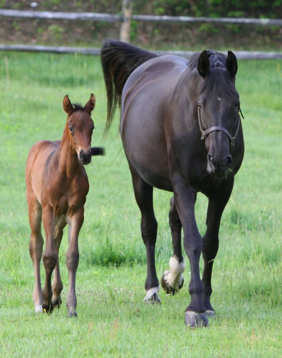 Seraphina at 2 weeks old