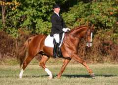 Harmony's Locksley I