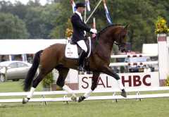 Harmony's Rousseau